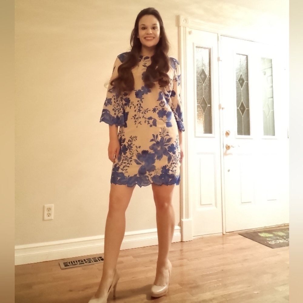 Beautiful embroidered blue/nude long sleeve dress